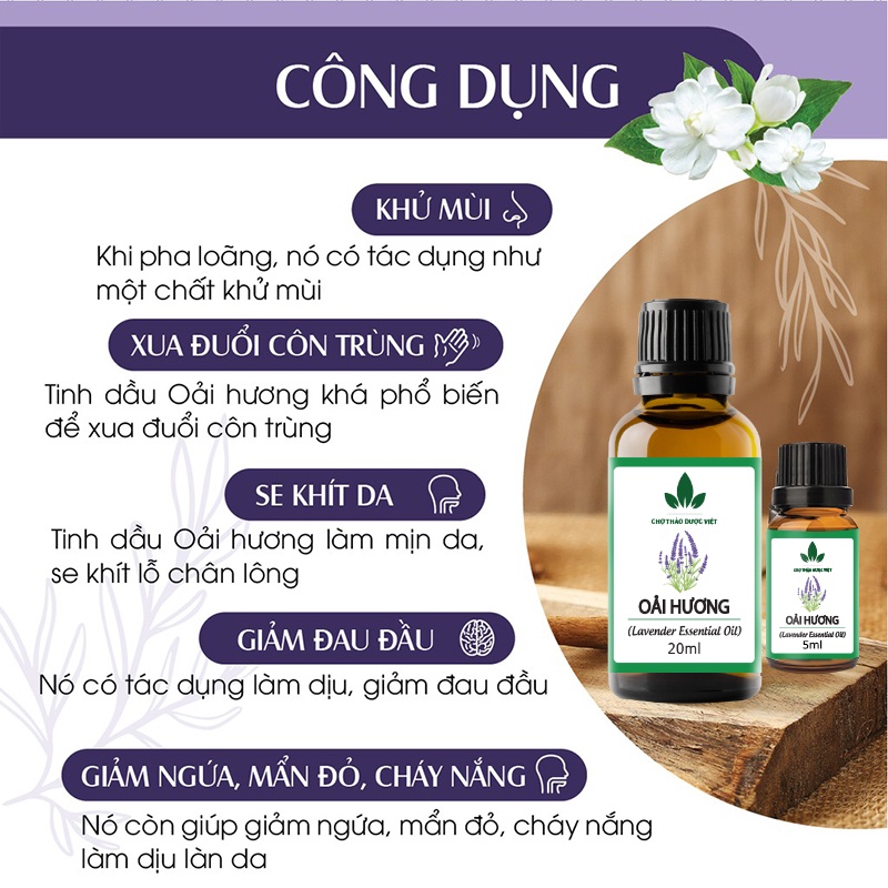 Tinh dầu Oải Hương Lavender 20ml, hương nước hoa thơm phòng, khuếch tán, đuổi muỗi - Chợ Thảo Dược Việt