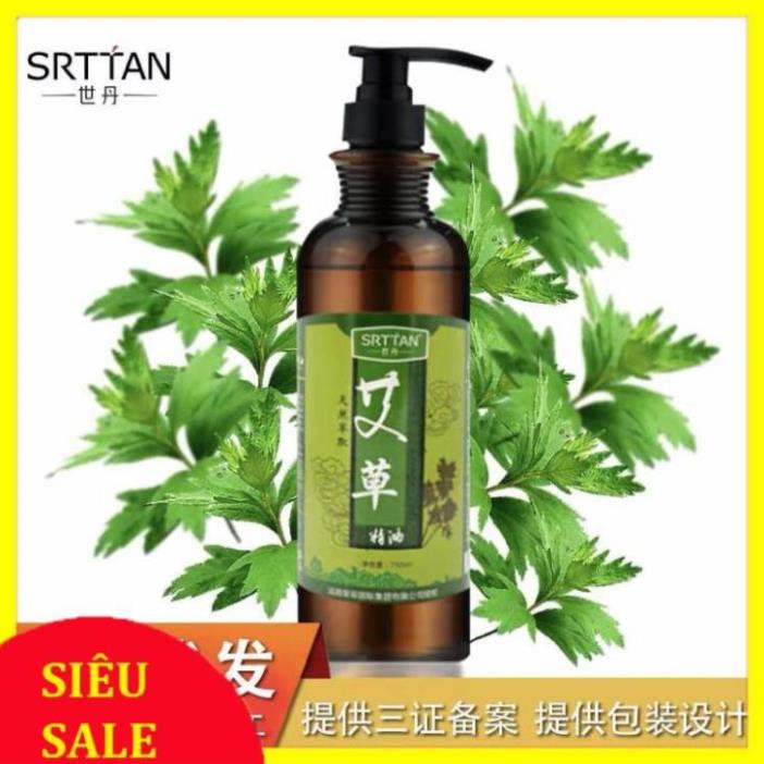 Tinh Dầu Masager body Trải Thông Kinh Lạc Dành cho spa TMV | BigBuy360 - bigbuy360.vn