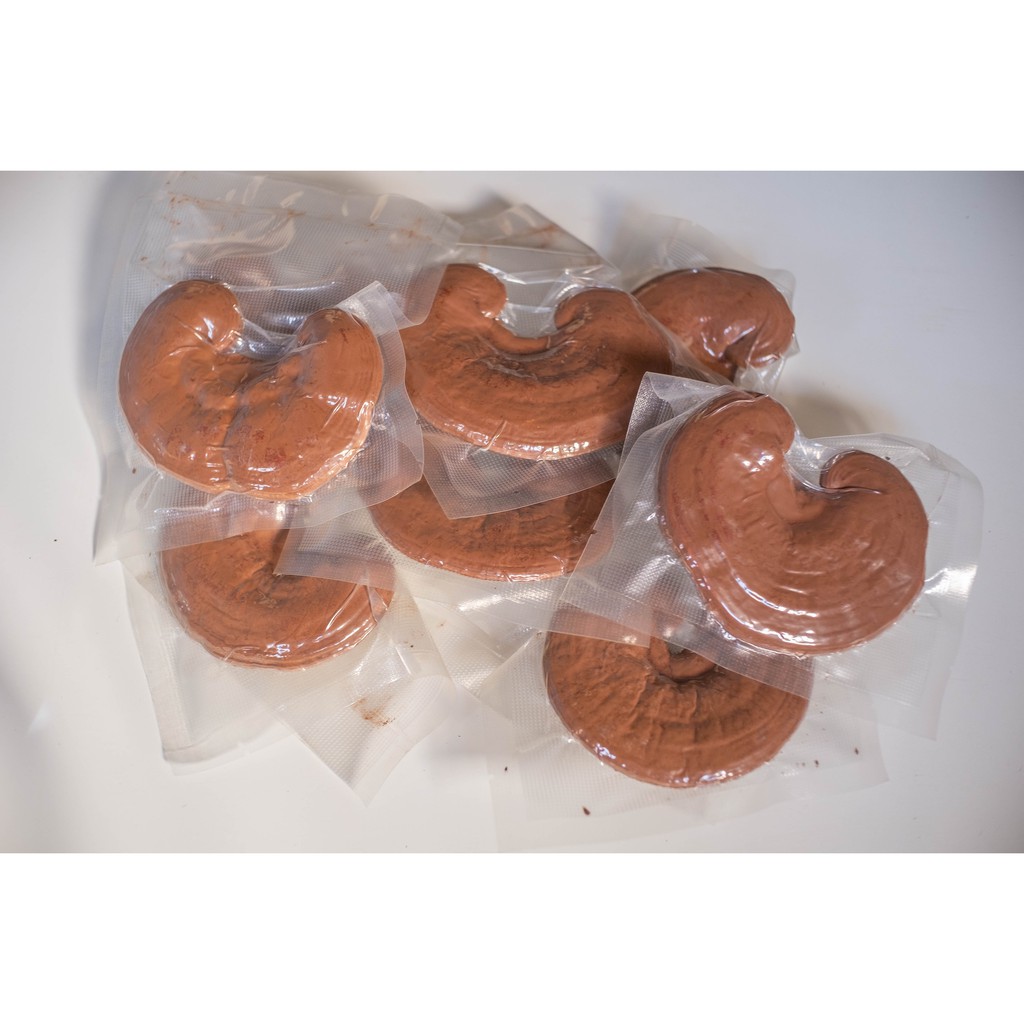 Nấm linh chi đỏ Việt Nam nguyên bào tử dễ uống - Cây Nấm Việt | BigBuy360 - bigbuy360.vn