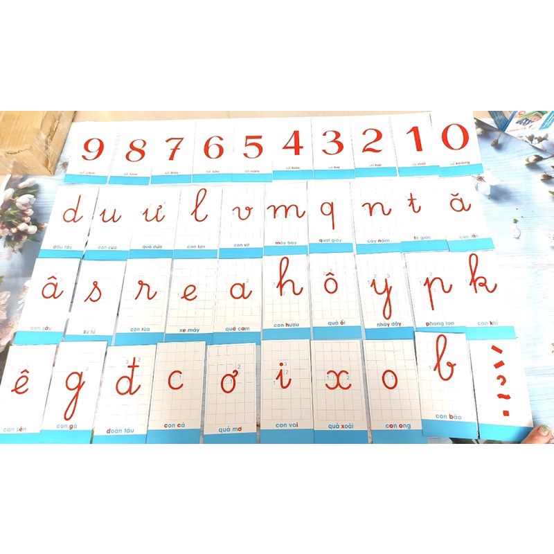 Bộ Thẻ chữ cái và số to và nhỡ (6,5x13cm và 8x15cm)