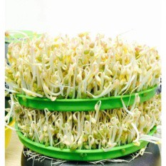 Thiết bị làm giá đỗ dưa hành dưa cà Bách Khoa BKIDT 2016 hàng chính hãng H3C STORE