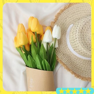 Hoa Tulip decor, phụ kiện chụp hình rẻ đẹp