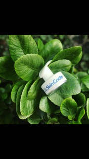 Cục massage lạnh Skin cooler