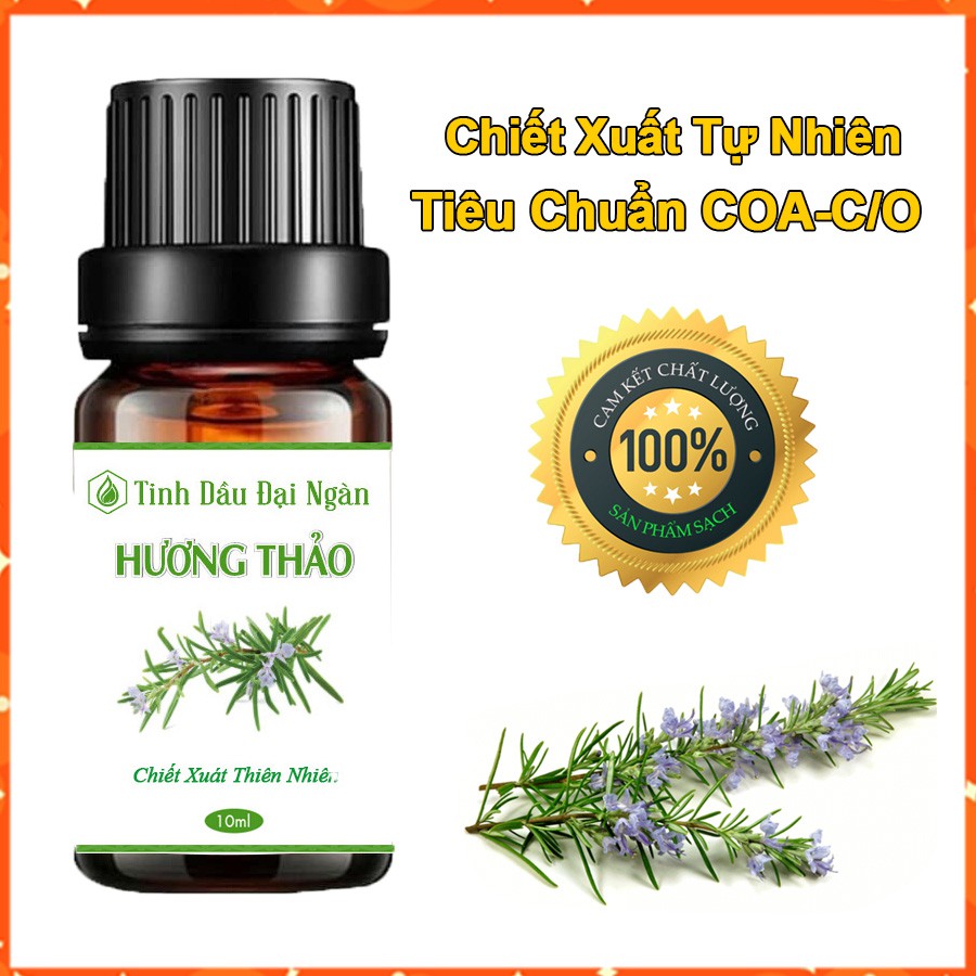 Tinh Dầu Hương Thảo - Hương Thơm Thiên Nhiên 10ml