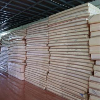 Combo nệm cao su non 1m6+1 tấm bảo vệ+1 gối ôm