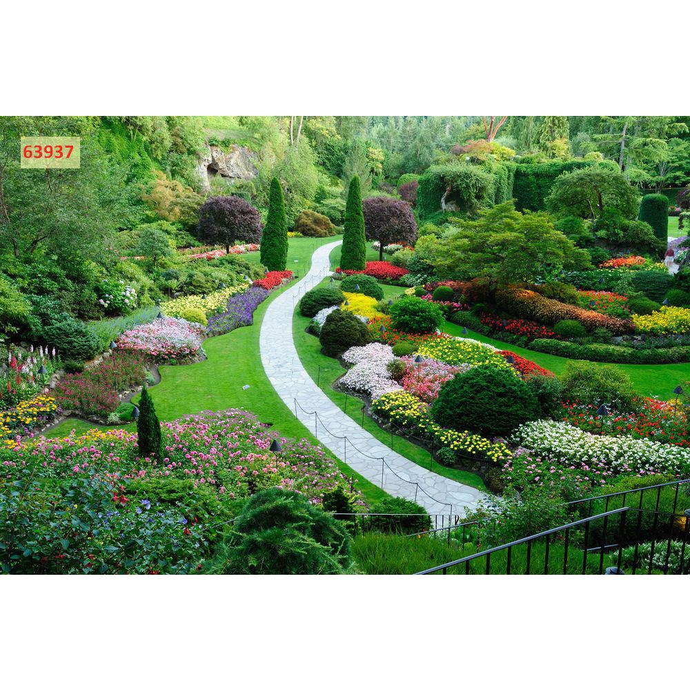 Tranh dán phòng khách, phòng ngủ, phòng ăn chủ đề thiên nhiên tươi xanh