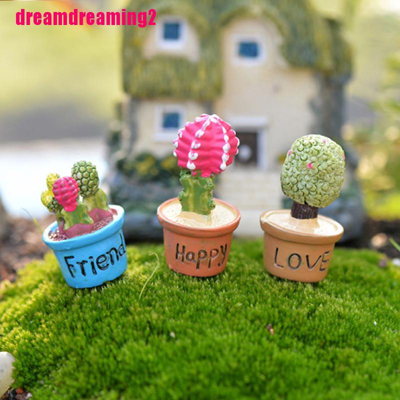 Cây Xương Rồng Mini Trang Trí Sân Vườn