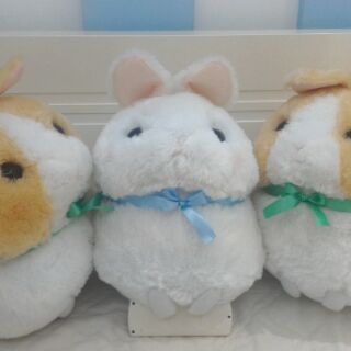 Thỏ mập hàng amuse Nhật