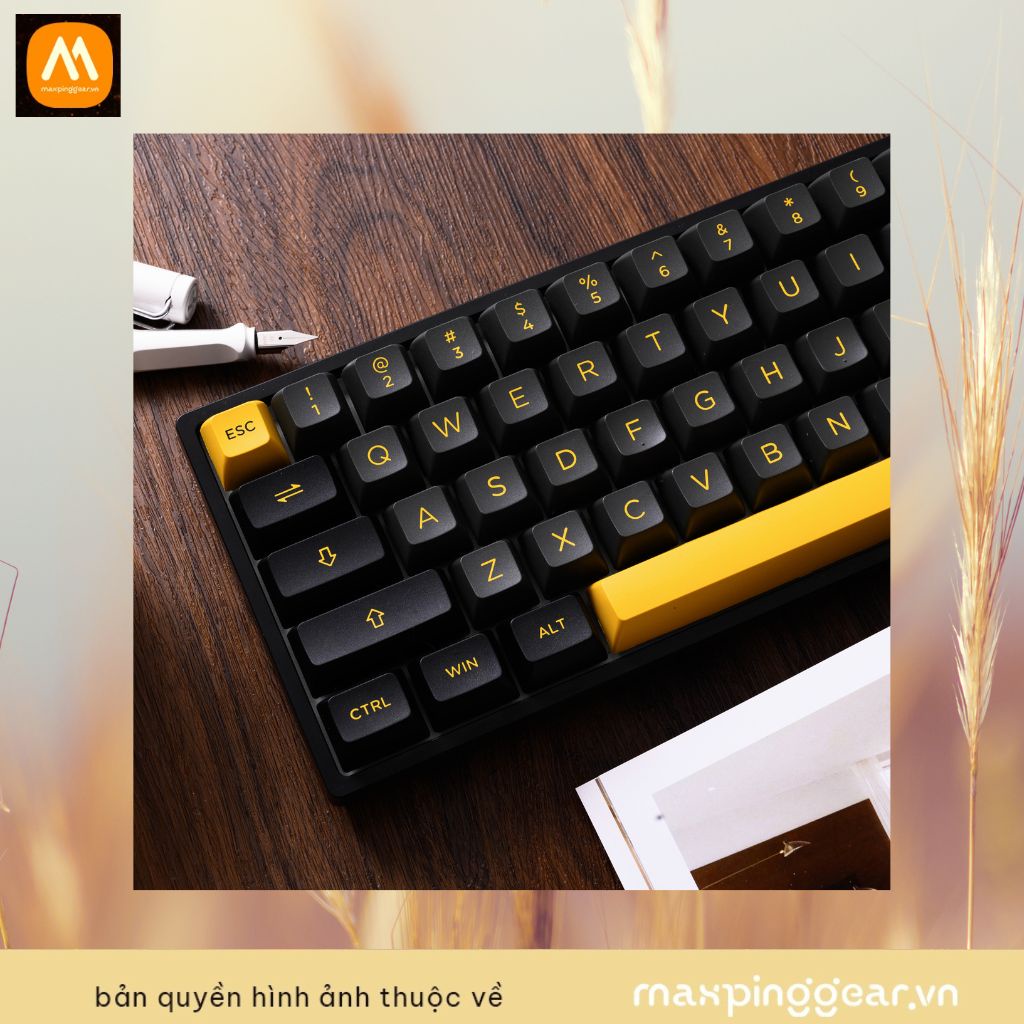Bàn phím cơ AKKO 3068B Plus Black&Gold