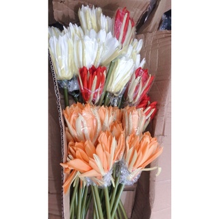 Hoa Quỳnh đạo cụ chụp ảnh