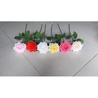 hoa hồng nhung cành 1 bông