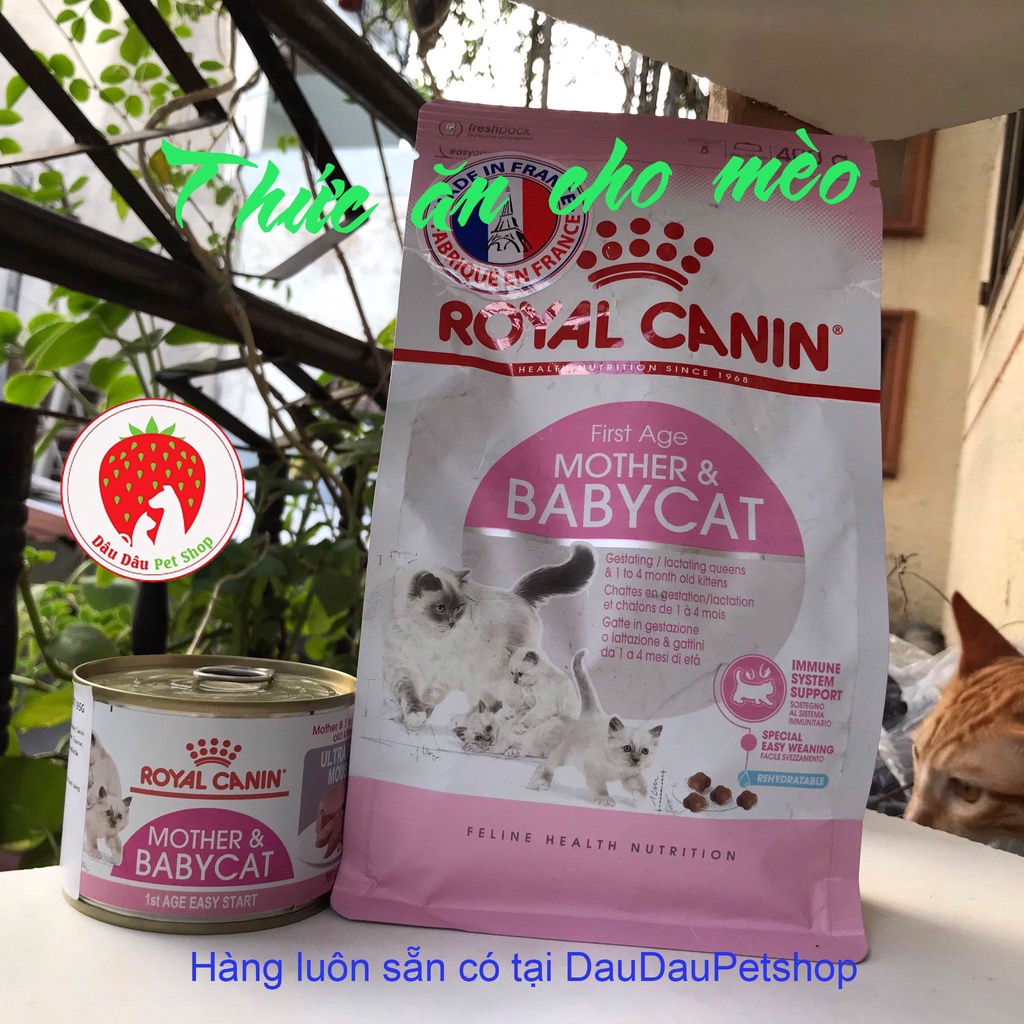 [ Bán sỉ ] Thức ăn cho mèo royal canin babycat 1 kg chia lẻ túi zip