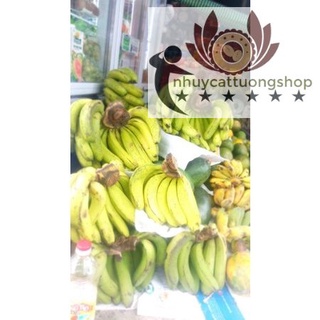 Chuối laba Đà Lạt thơm ngon dẻo bùi, hảo hạng