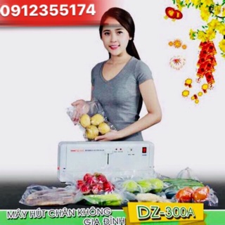 Máy hút chân không DZ 300A - Hàng chính hãng (hút đồ khô + túi)