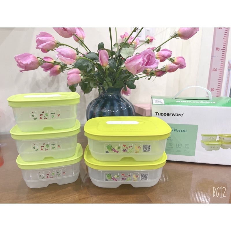 Bộ hộp trữ mát có nút hô hấp Ventsmart Five Star 800ML*2 & 375ML*3