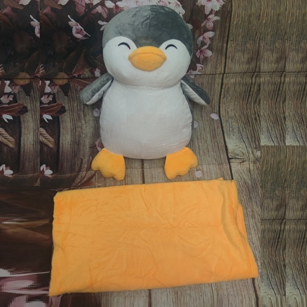 bộ mền gối ngủ văn phòng loại lớn - bộ mền gối ngủ văn phòng