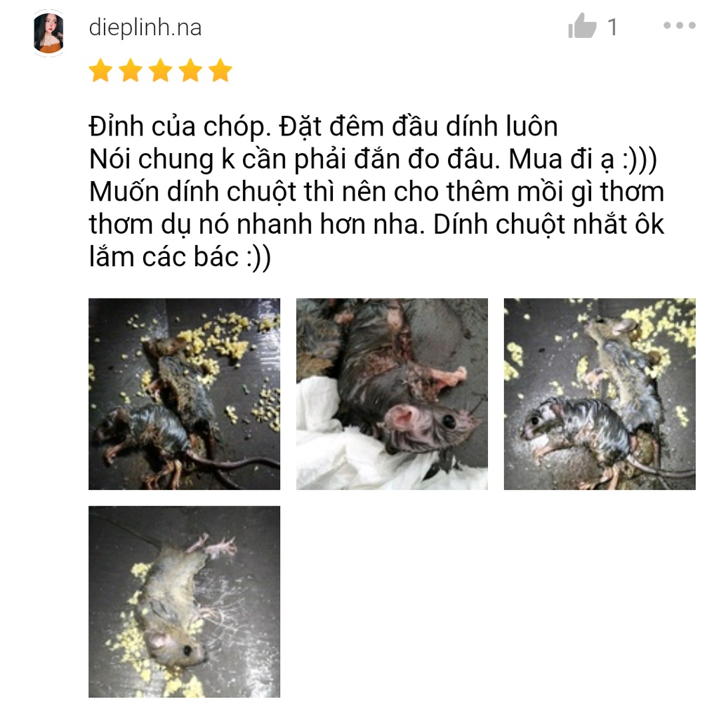 Combo 10 miếng keo dính chuột xuất Nhật Bản | 10 Keo bẫy chuột | 10 Keo dán chuột Việt Nam