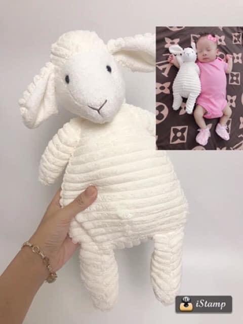 Gấu bông cừu trắng organic