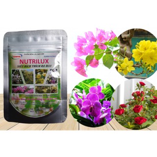Thuốc kích ra hoa lan 100g