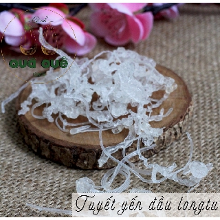 TUYẾT YẾN ĐẦU LONGTU