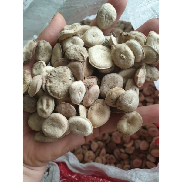 Hạt Mã Tiền nhung - 100g Hàng mới, khô, sạch