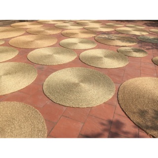Thảm cói tròn trơn- decor, chụp ảnh