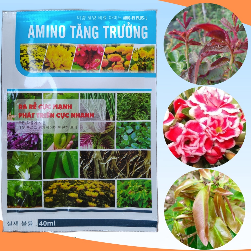 Phân Bón Lá AMINO Tăng Trưởng, Kích rễ cực mạnh, Phát triển cực nhanh