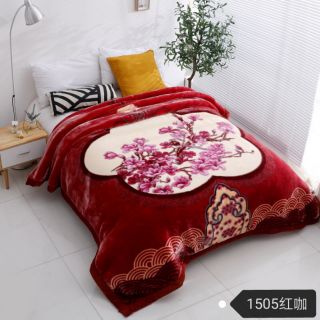 CHĂN ĐÔNG CAO CẤP HÀNG THÁI 2019