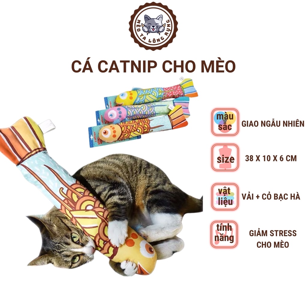 Đồ chơi cho mèo, cỏ bạc hà cho mèo, đồ chơi thú cưng ,cá đồ chơi catnip cho mèo, cỏ bạc hà