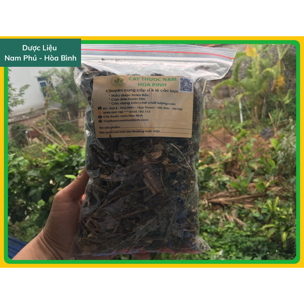 1KG Hương Nhu dược liệu giá sỉ thơm khô sạch