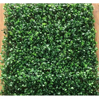 Thảm cỏ xoong nhân tạo trang trí treo vách tường vách ngăn