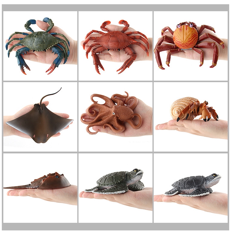 Mô hình rùa biển vỏ sò 17 món trang trí độc đáo