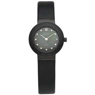 Đồng hồ nữ Skagen 456SBLB