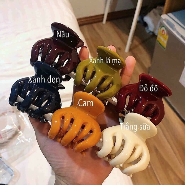 KẸP CÀNG CUA THÁI