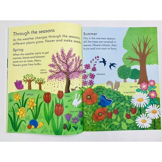 Dính dán - Usborne sticker book - How things grow