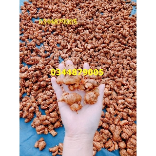 Củ sa cương/xá kiến tươi 1kg