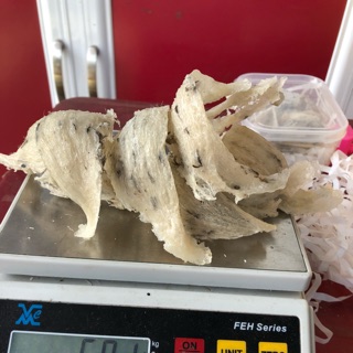 Yến sào Bạch yến thô nguyên tổ