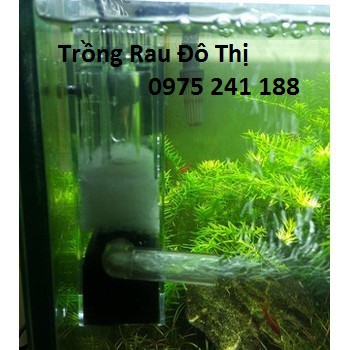 Lọc váng Odyssea Clean 100 cho bể 30-50 lít