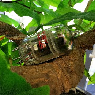Bóng đèn điện tử 12AX7