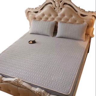 Bộ chiếu gối điều hòa cao su latex