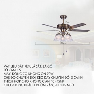 Quạt trần có đèn - Quạt trần