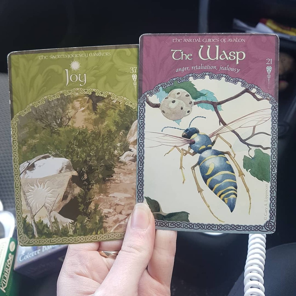 Bài Wisdom of Avalon Oracle Cards