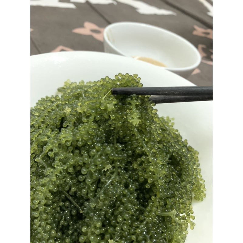 [SALE SẬP SÀN] 100Gr Rong Nho Tách Nước Khánh Hoà chọn lọc. | BigBuy360 - bigbuy360.vn