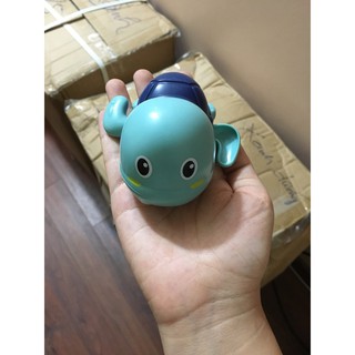 Rùa bơi nước đầu trọc cho bé ( 1 con)