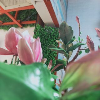Sét dụng cụ làm tượng và 1kí đất sét làm tượng của khách đặc ............................................
