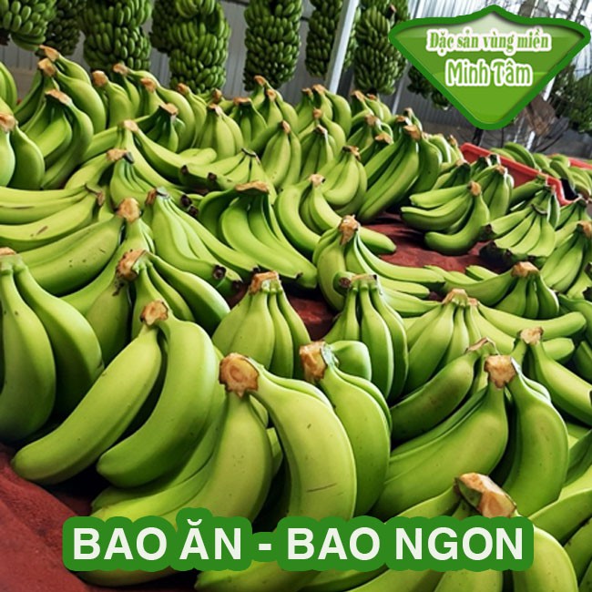 Chuối lùn ( Chuối Và) Bao ăn bao ngon [CHỈ GIAO TPHCM]