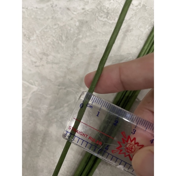 KẼM CÀNH LÀM THÂN HOA SỐ 12