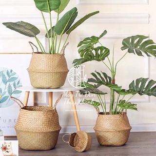Sọt cói, giỏ cói cỏ bàng trồng cây ,đựng đồ