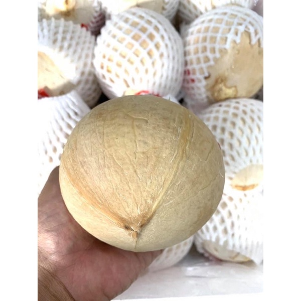 Dừa xiêm Bến Tre dừa trọc 500-700g