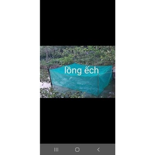 Tráng Nuôi Cá, Nuôi ốc